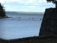 /album/a1/a144-img-3841-120907-balt-ii-jpg/